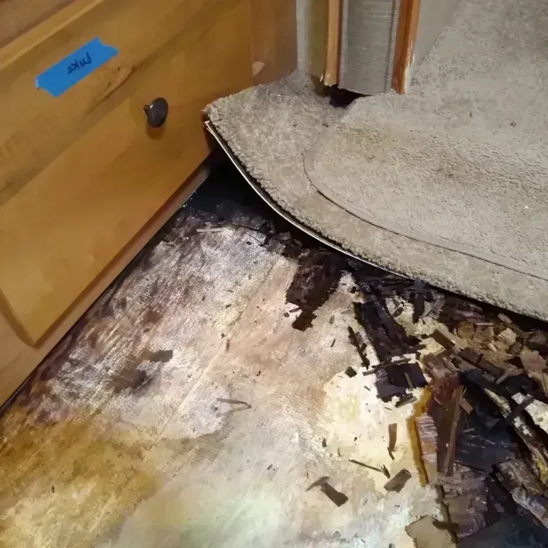 Wood Floor Water Damage in Cass City, MI